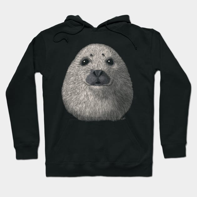 Baby Harp Seal Hoodie by Walking in Nature